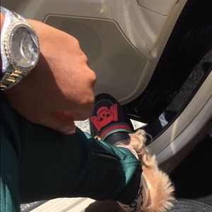 Meet your Posher, Brandon